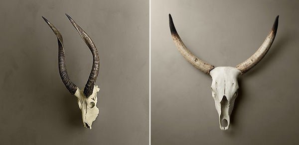 Beestachtig - gimmii