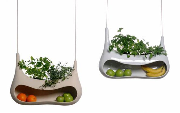 Cocoon helpt je kruiden te telen - gimmii