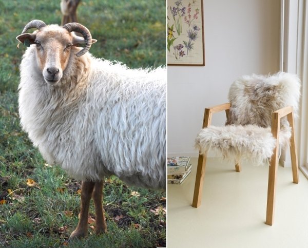 Een kudde stoelen van Melle Koot - gimmii