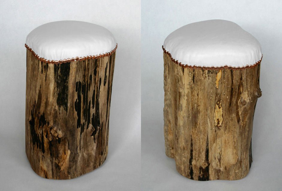 Het unieke boomstronk krukje! - gimmii