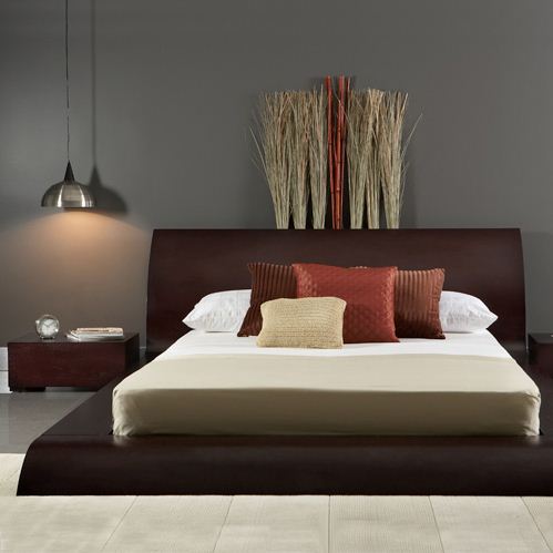 Koninklijk knorren - gimmii