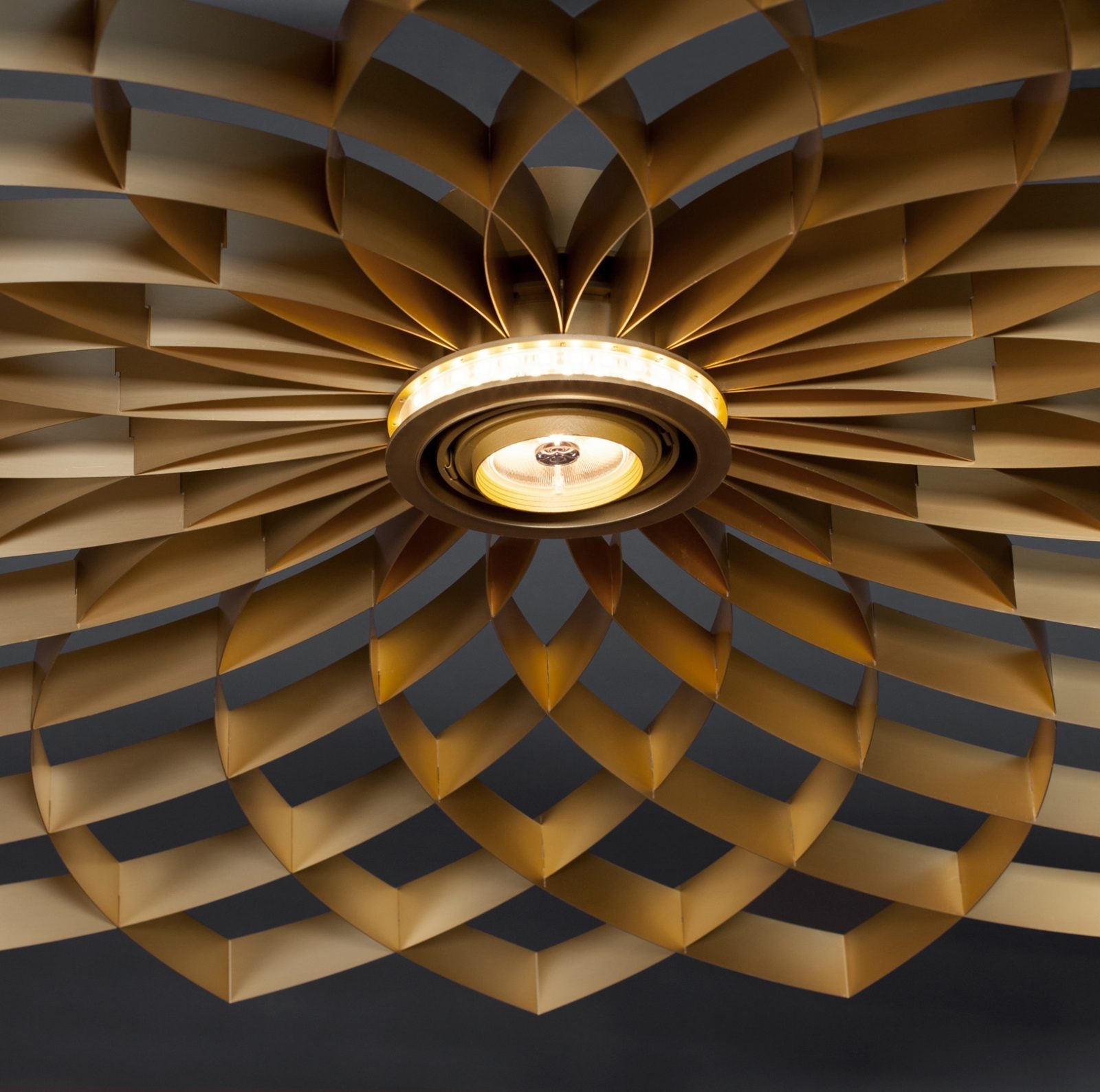 Dahlia wandlamp - gimmiiJSPR