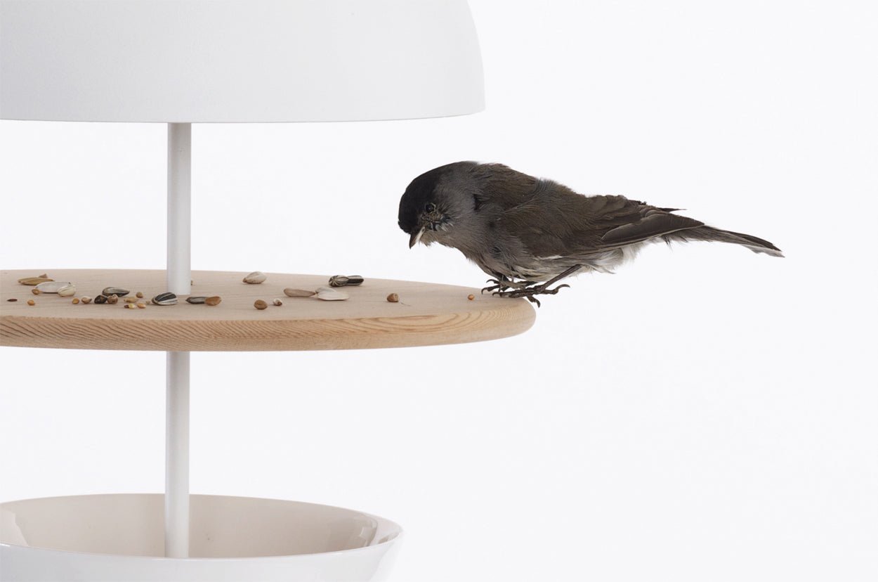 Dish of desire, Two course - gimmiiFrederik Roijé