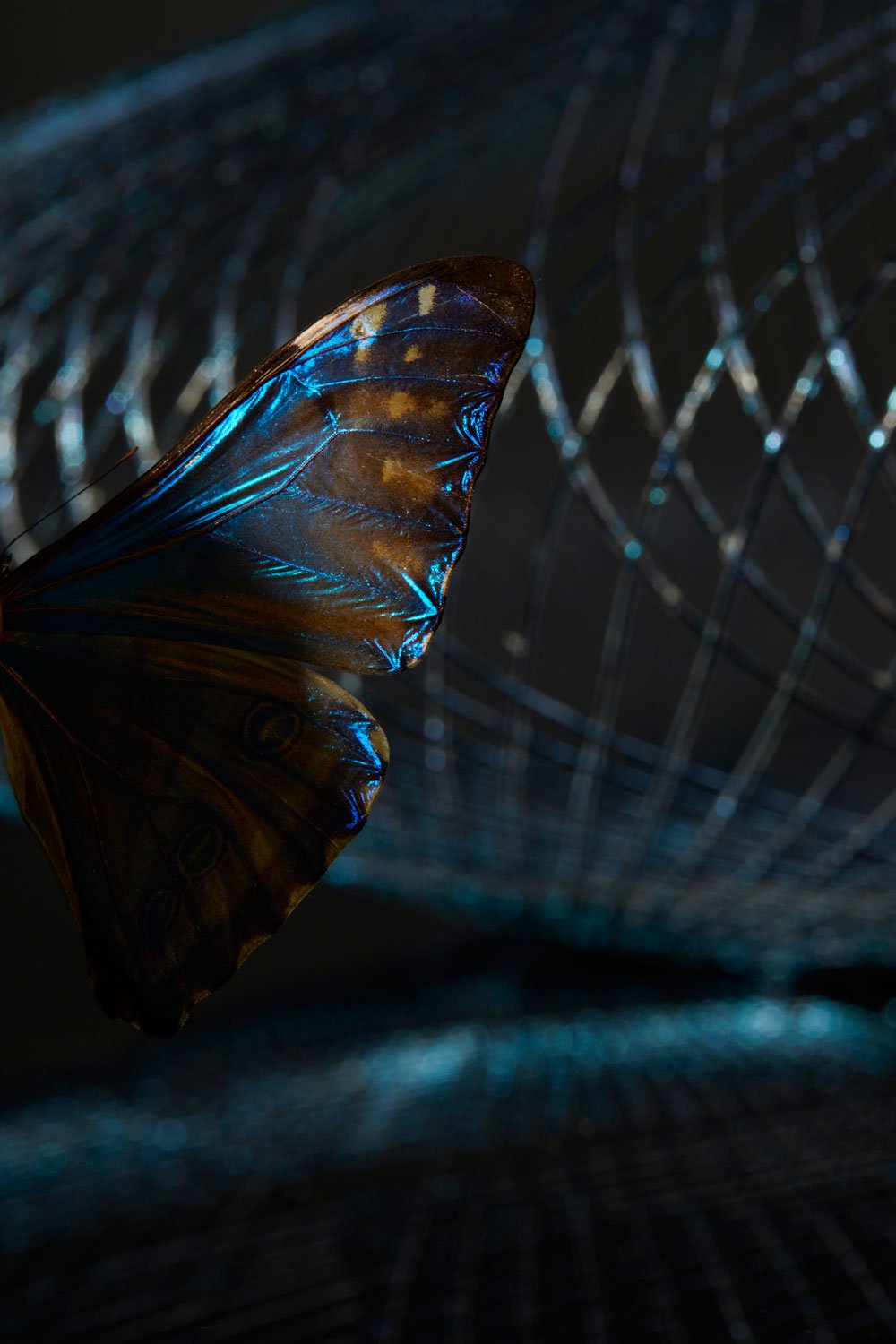 Iridescent black hanglamp - gimmiiAtelier Robotiq