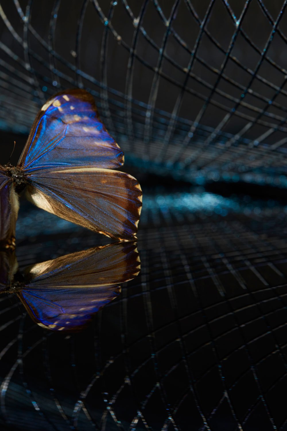 Iridescent black hanglamp - gimmiiAtelier Robotiq