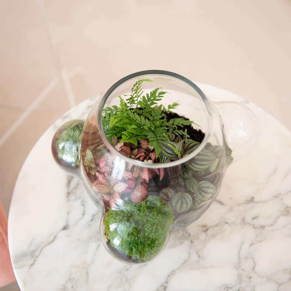 Local Habitat - gimmiigimmii