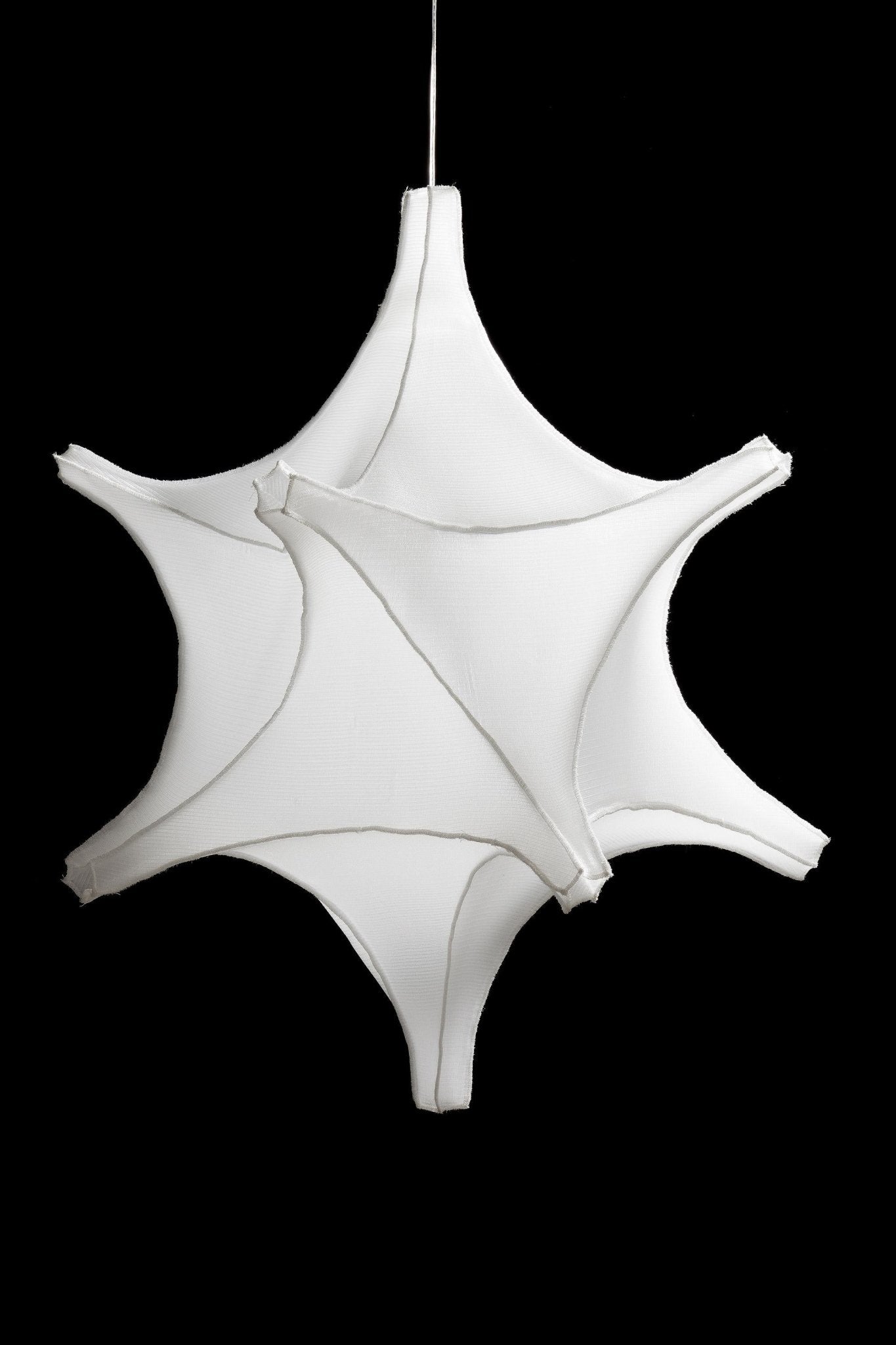 Radiolaria hanglamp - Astrosphera spicula - gimmiiBernotat&Co