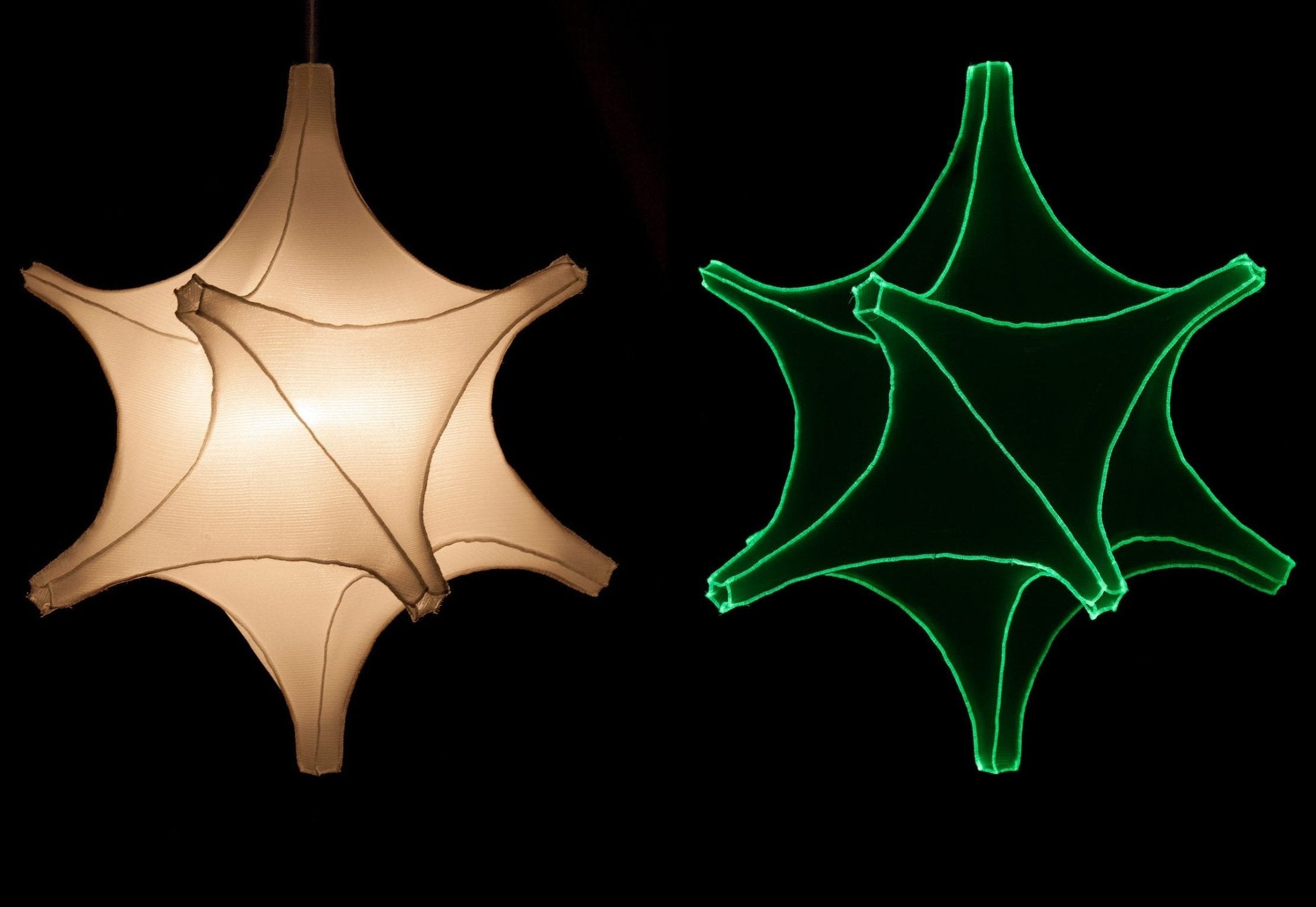 Radiolaria hanglamp - Astrosphera spicula - gimmiiBernotat&Co