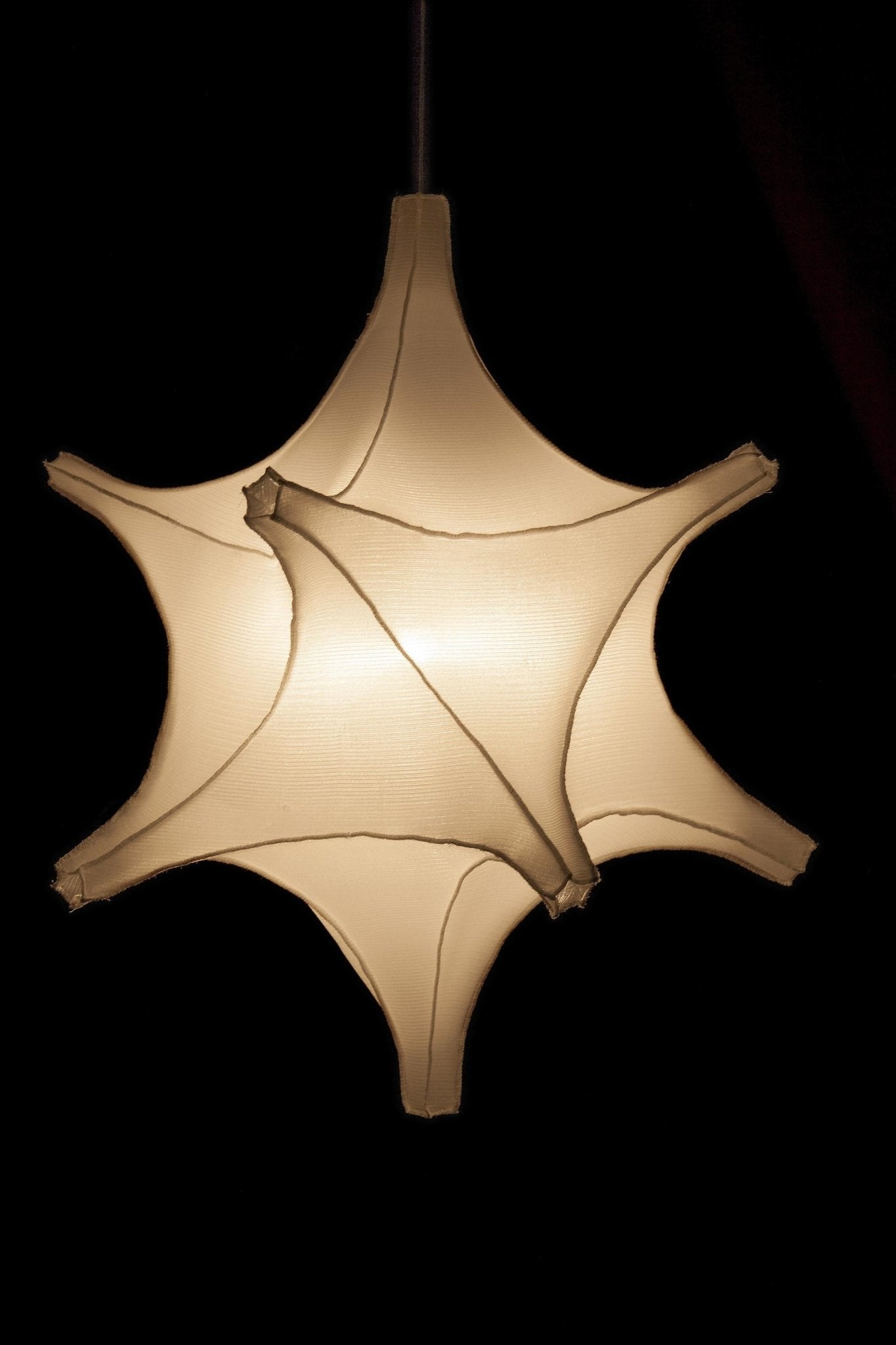 Radiolaria hanglamp - Astrosphera spicula - gimmiiBernotat&Co