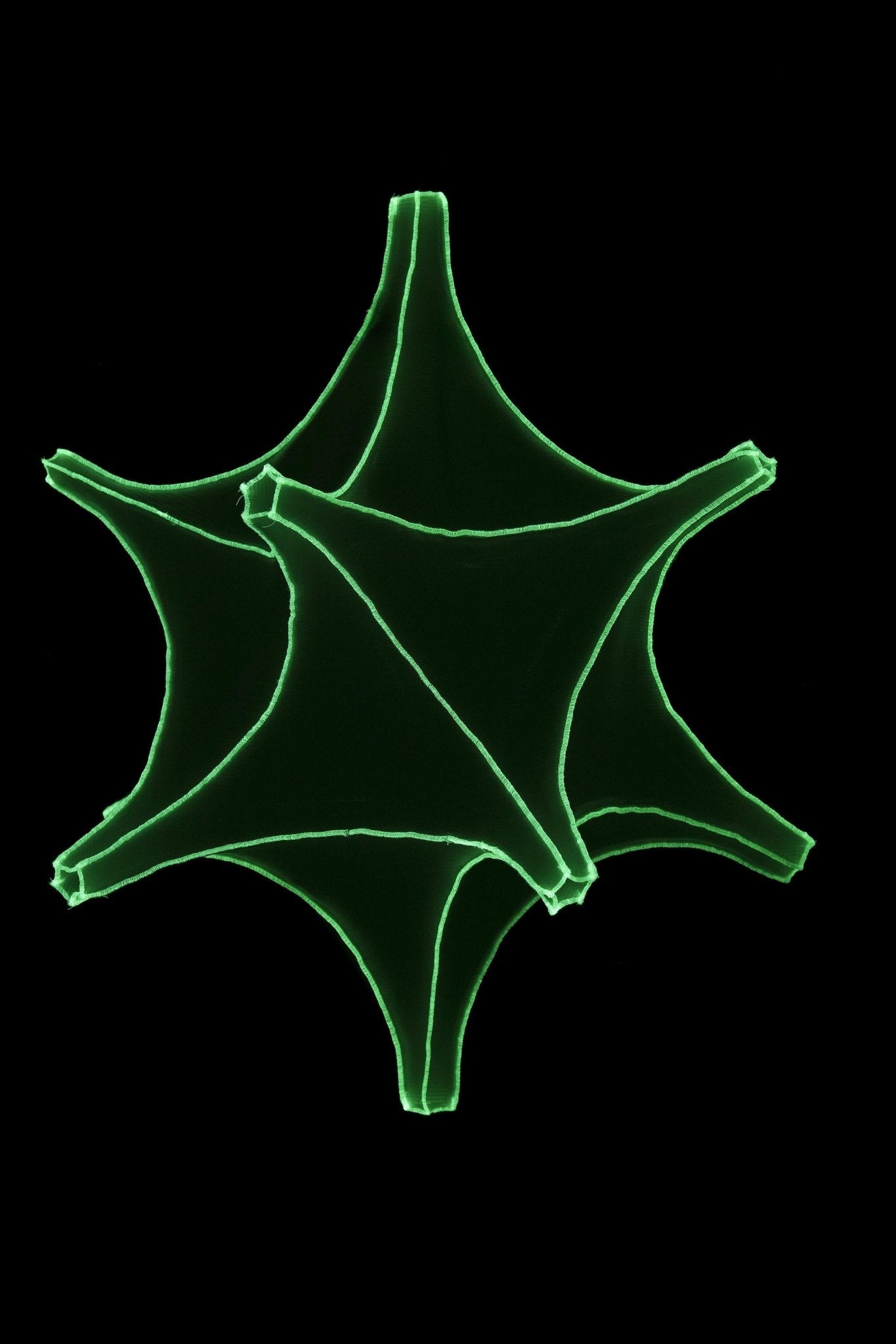 Radiolaria hanglamp - Astrosphera spicula - gimmiiBernotat&Co