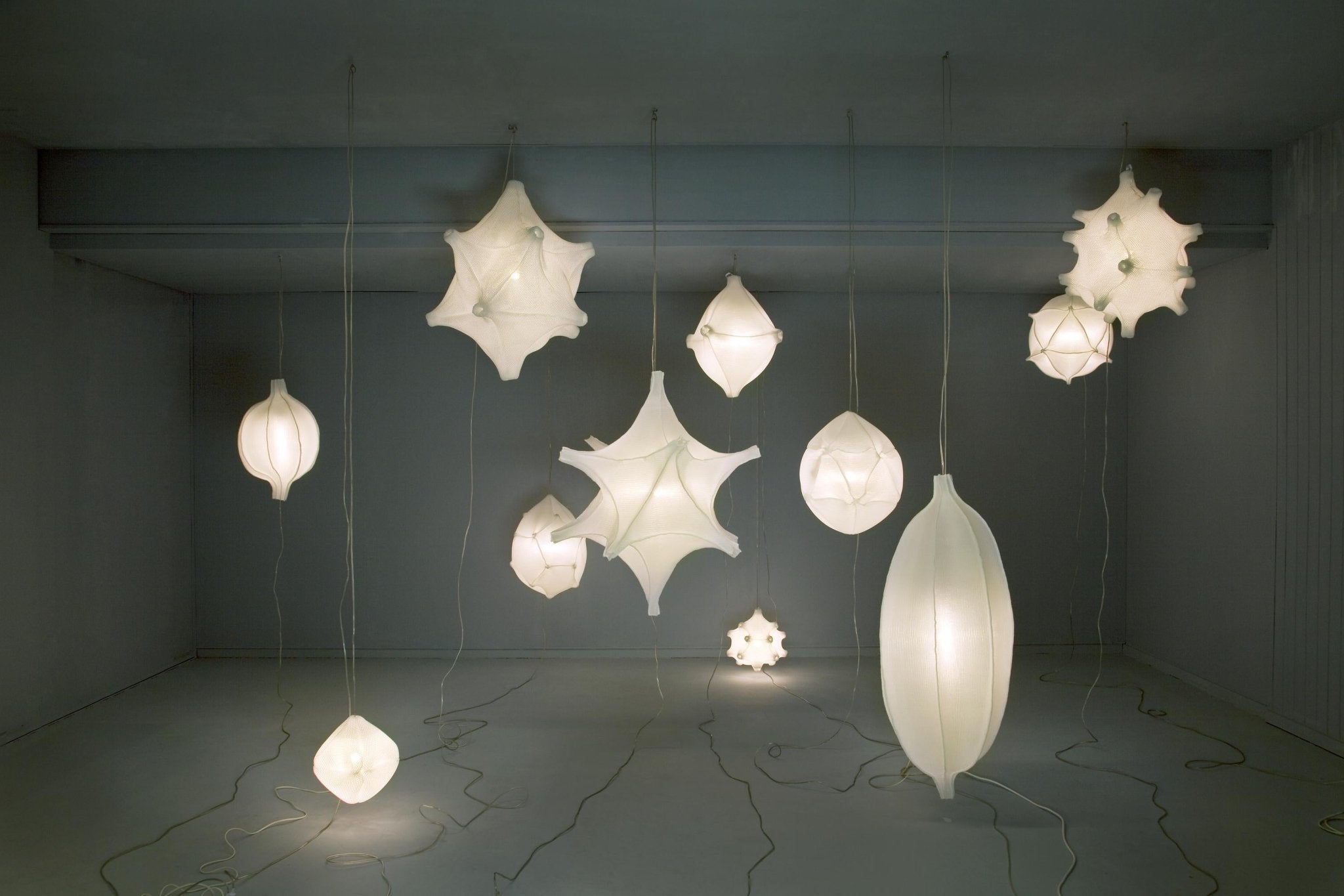 Radiolaria hanglamp - Discomedusa adulta - gimmiiBernotat&Co