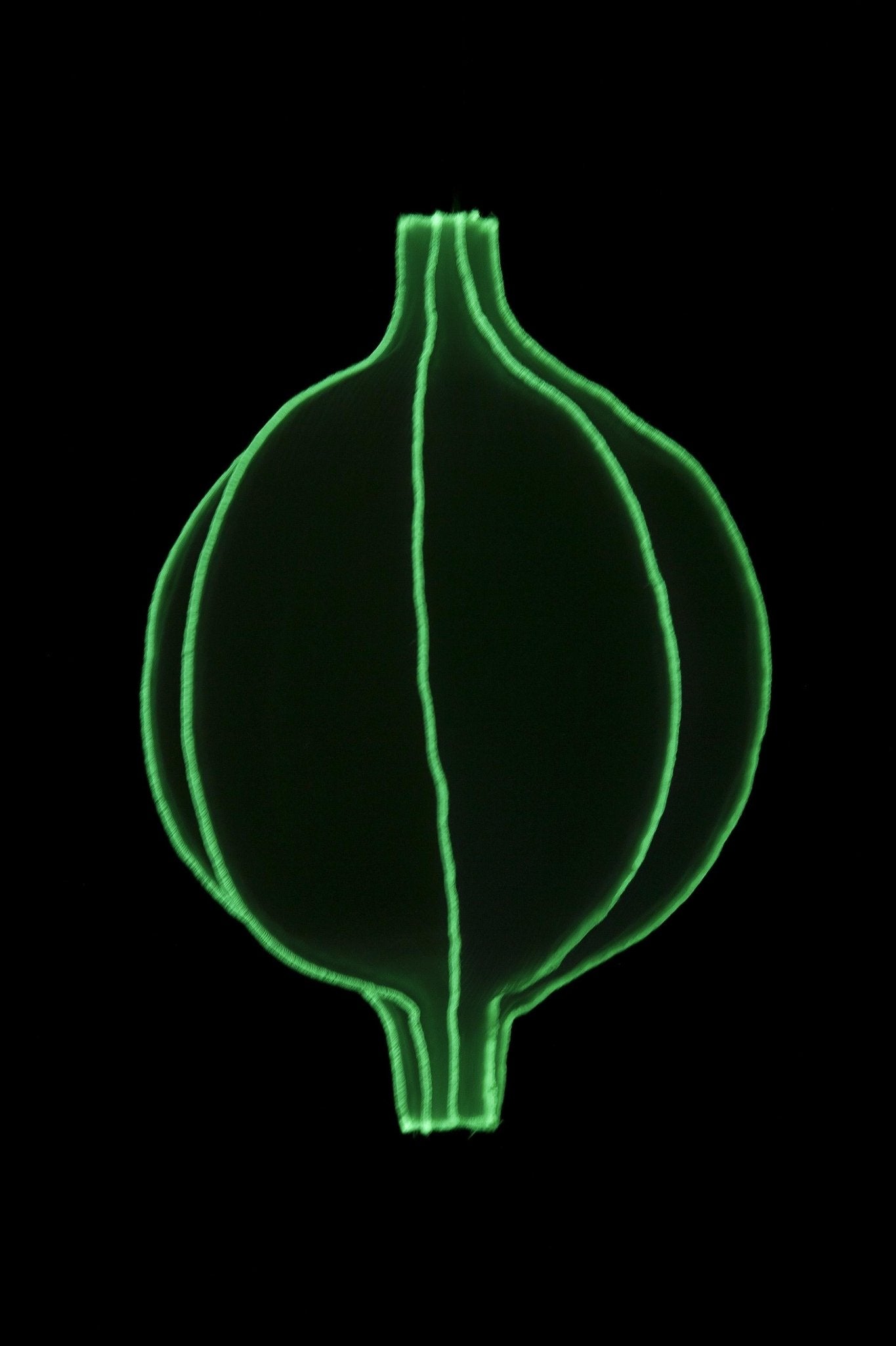 Radiolaria hanglamp - Discomedusa infans - gimmiiBernotat&Co