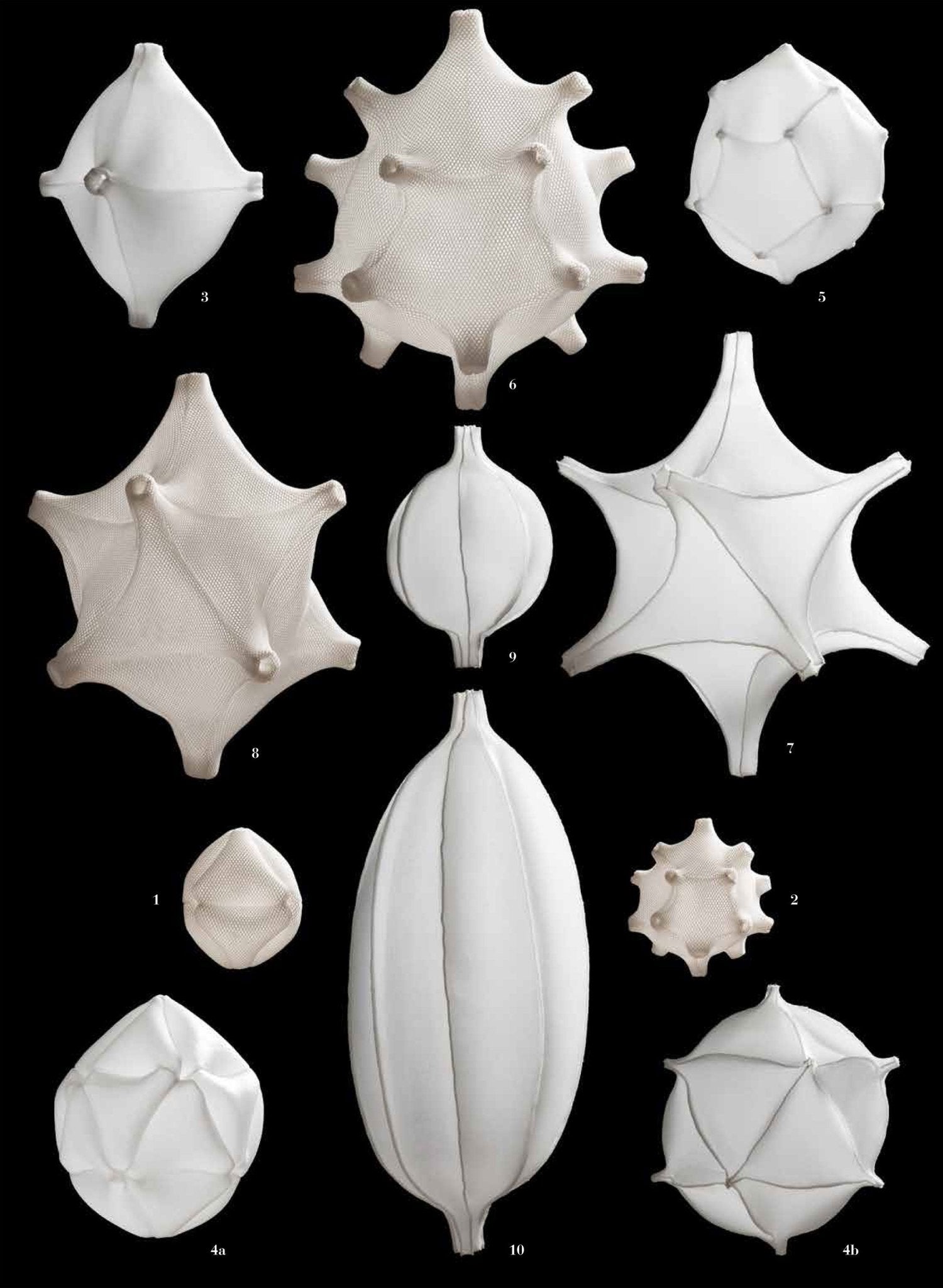 Radiolaria - Metamorphosus lucidus hanglamp - gimmiiBernotat&Co