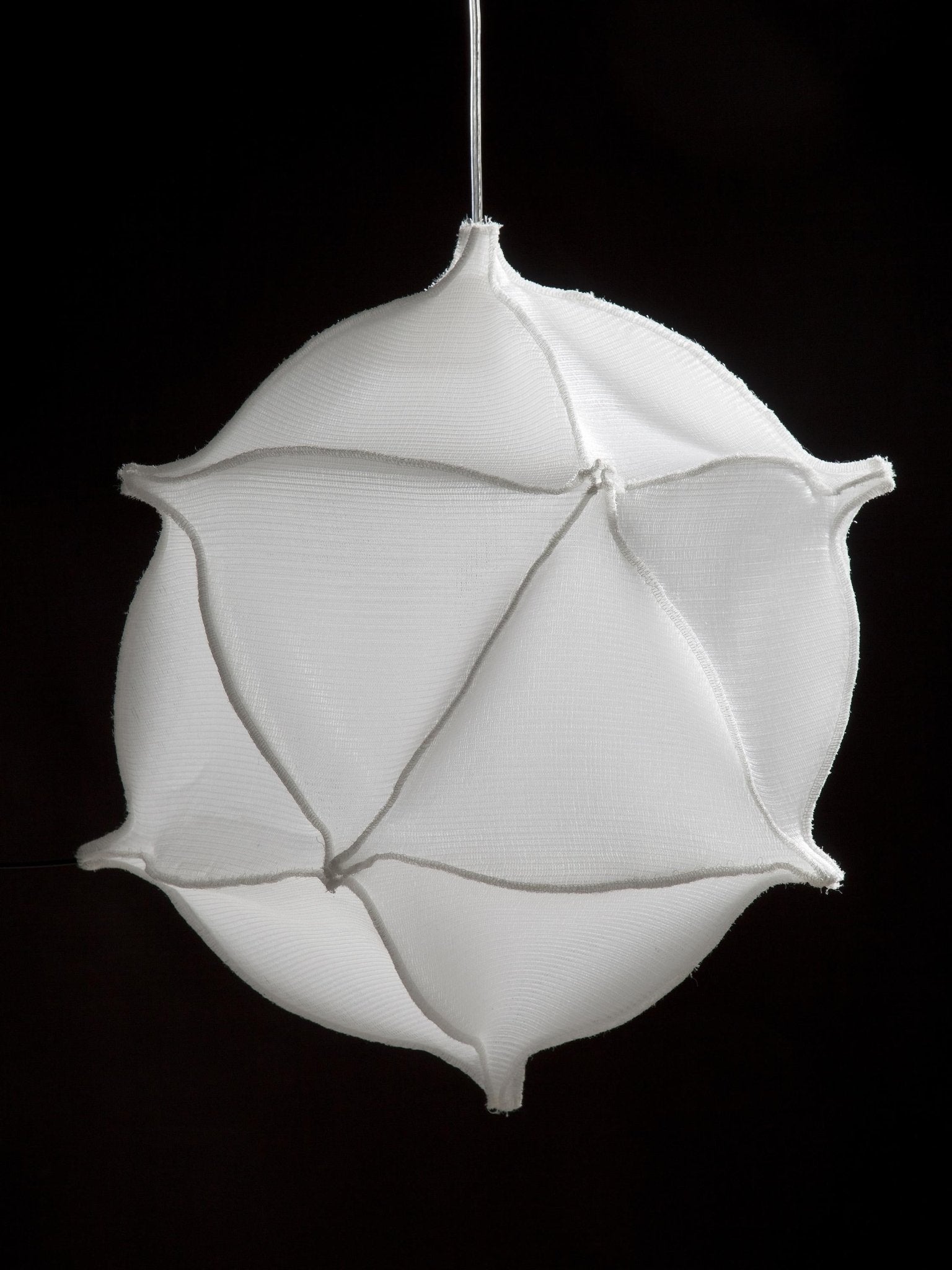 Radiolaria - Metamorphosus lucidus (reversus) - gimmiigimmii