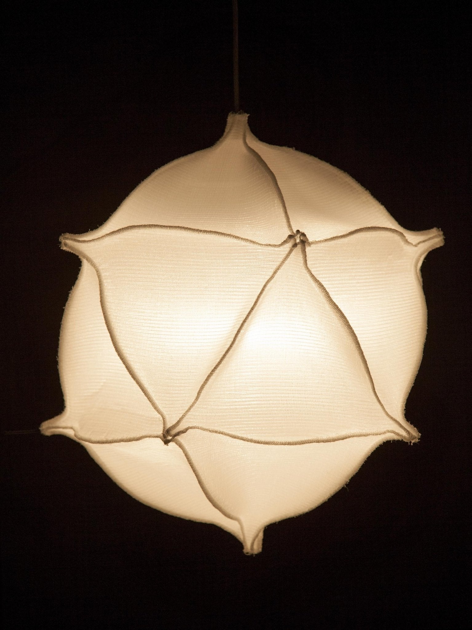 Radiolaria - Metamorphosus lucidus (reversus) - gimmiigimmii