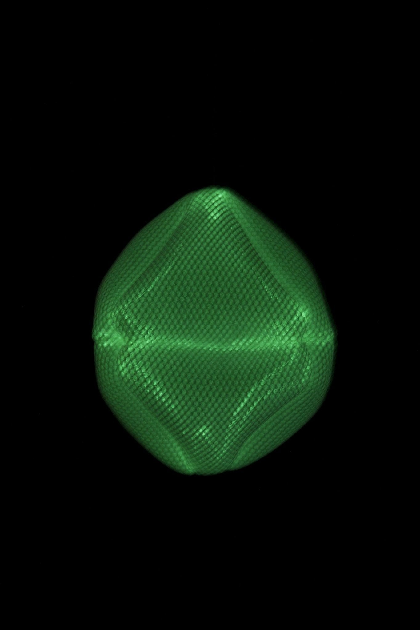 Radiolaria - Ovulus coralli hanglamp - gimmiiBernotat&Co