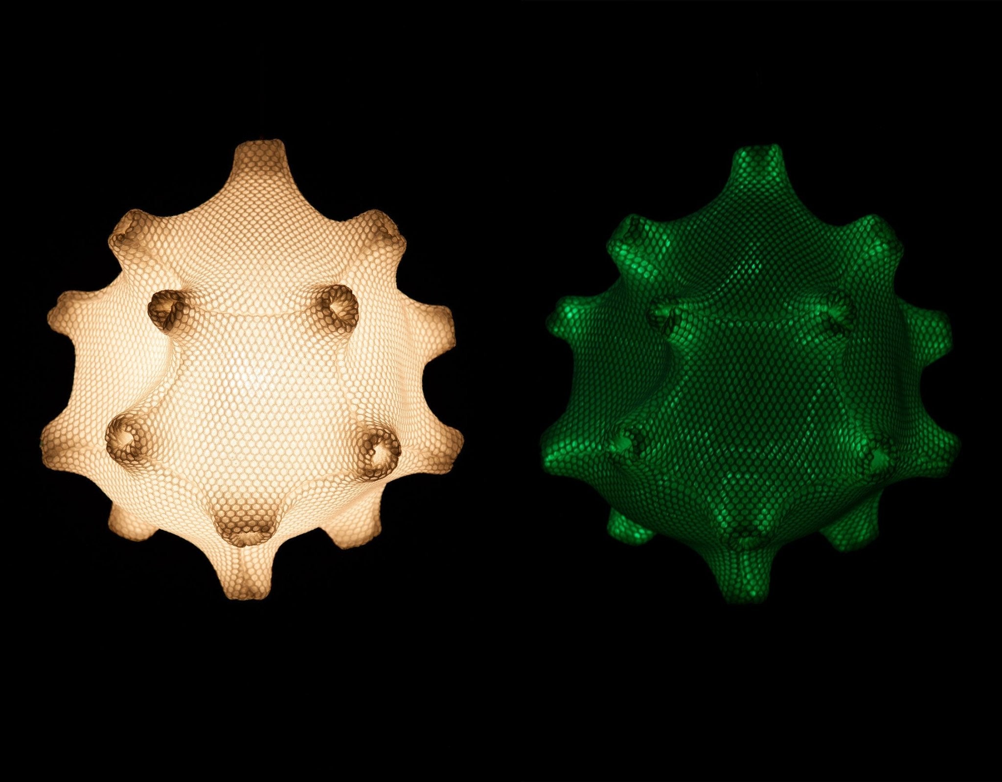 Radiolaria - Tentaculus minimus - gimmiiBernotat&Co