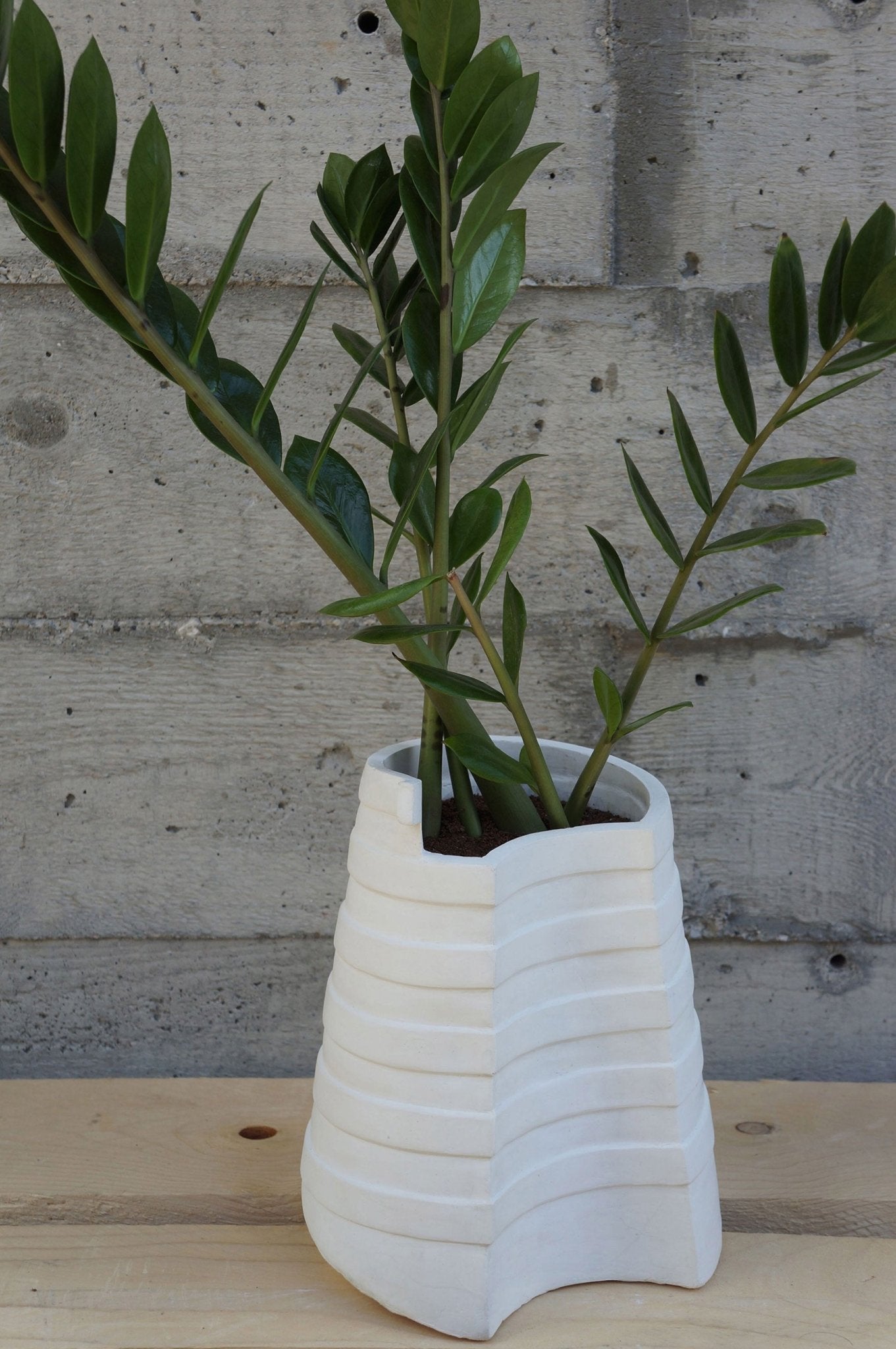Vaas #2 beton - gimmiiAtelier GertJan