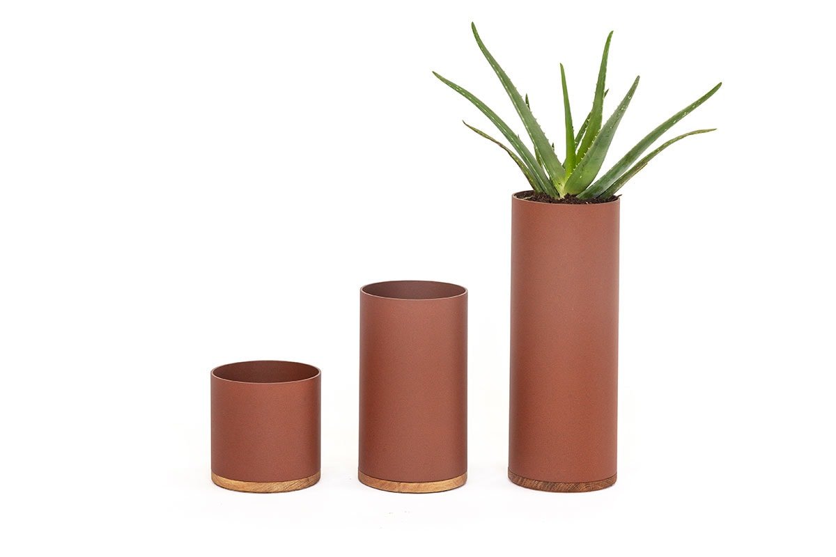 Plant Collector (Small-Medium-Large) - gimmiigimmii