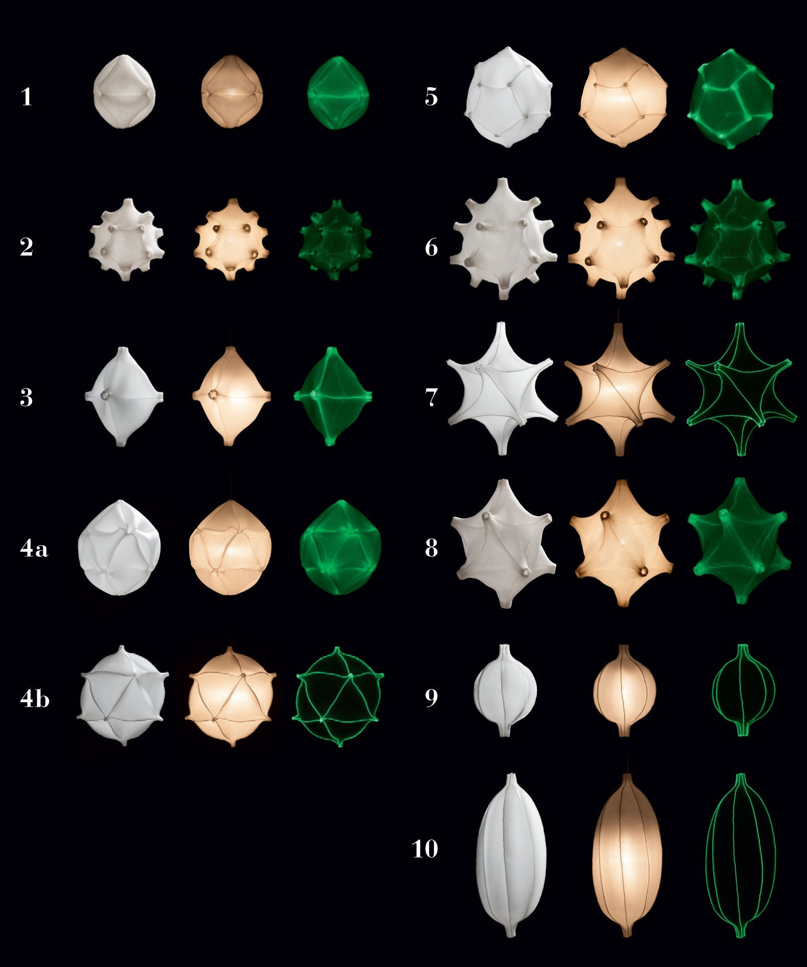 Radiolaria - Astrosphera curvata - gimmiiBernotat&Co