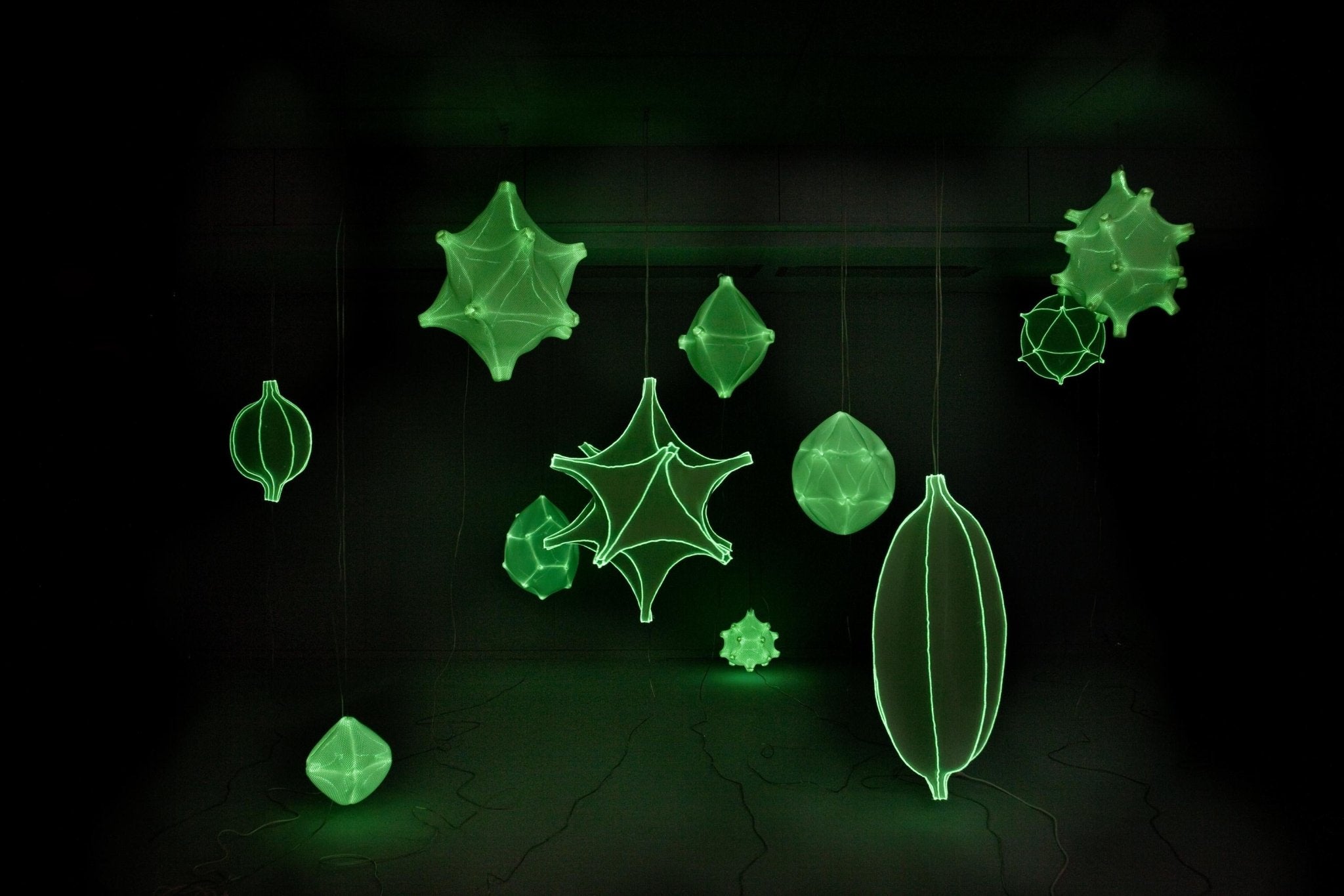 Radiolaria - Ovulus coralli hanglamp - gimmiiBernotat&Co