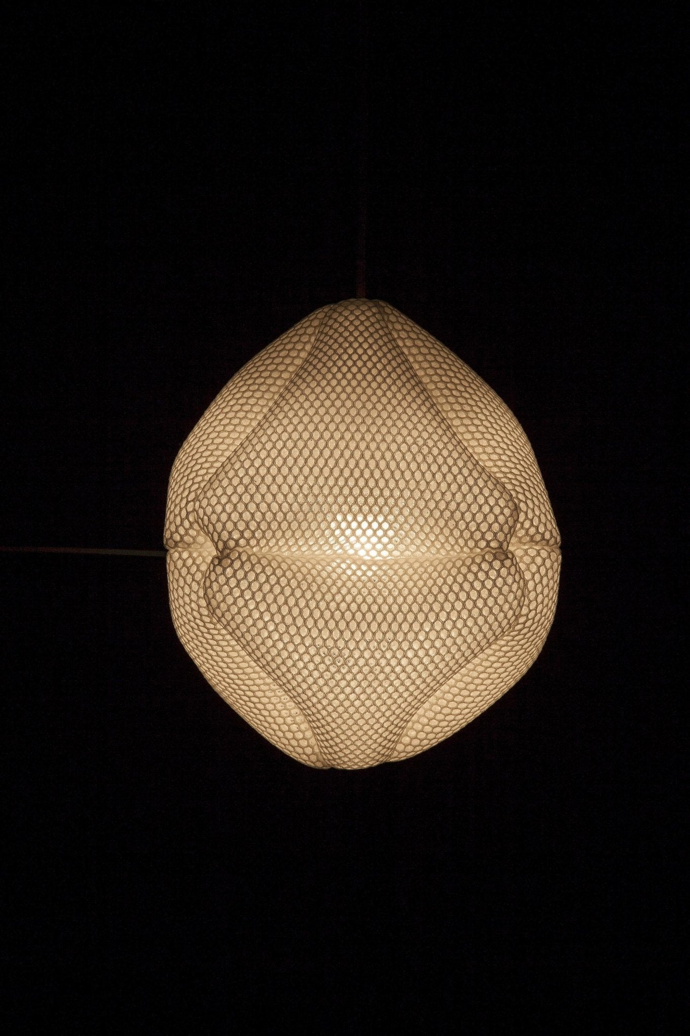 Radiolaria - Ovulus coralli hanglamp - gimmiiBernotat&Co