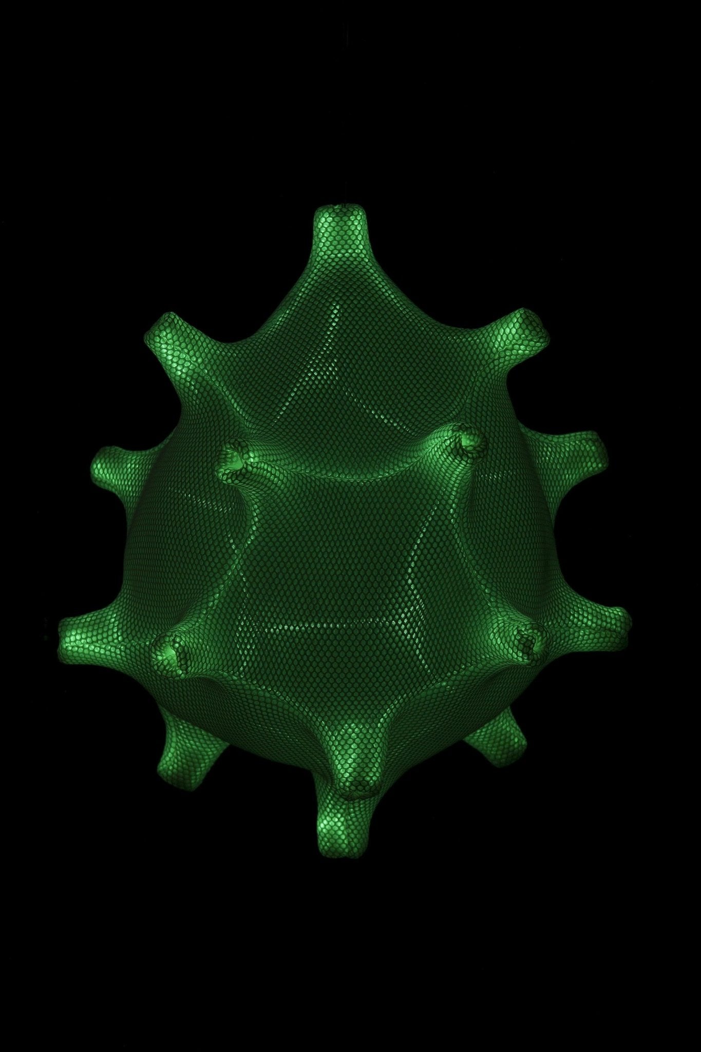 Radiolaria - Tentaculus minimus - gimmiiBernotat&Co